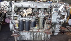 Motor-buques, general, marino-6CX-GT-thum5